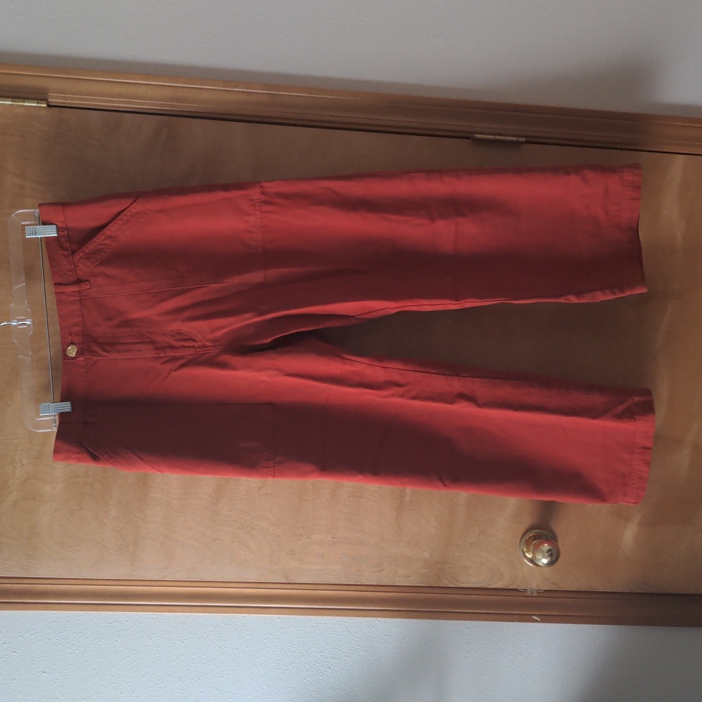 Big Bud Press Work Pants - Paprika Large Petite